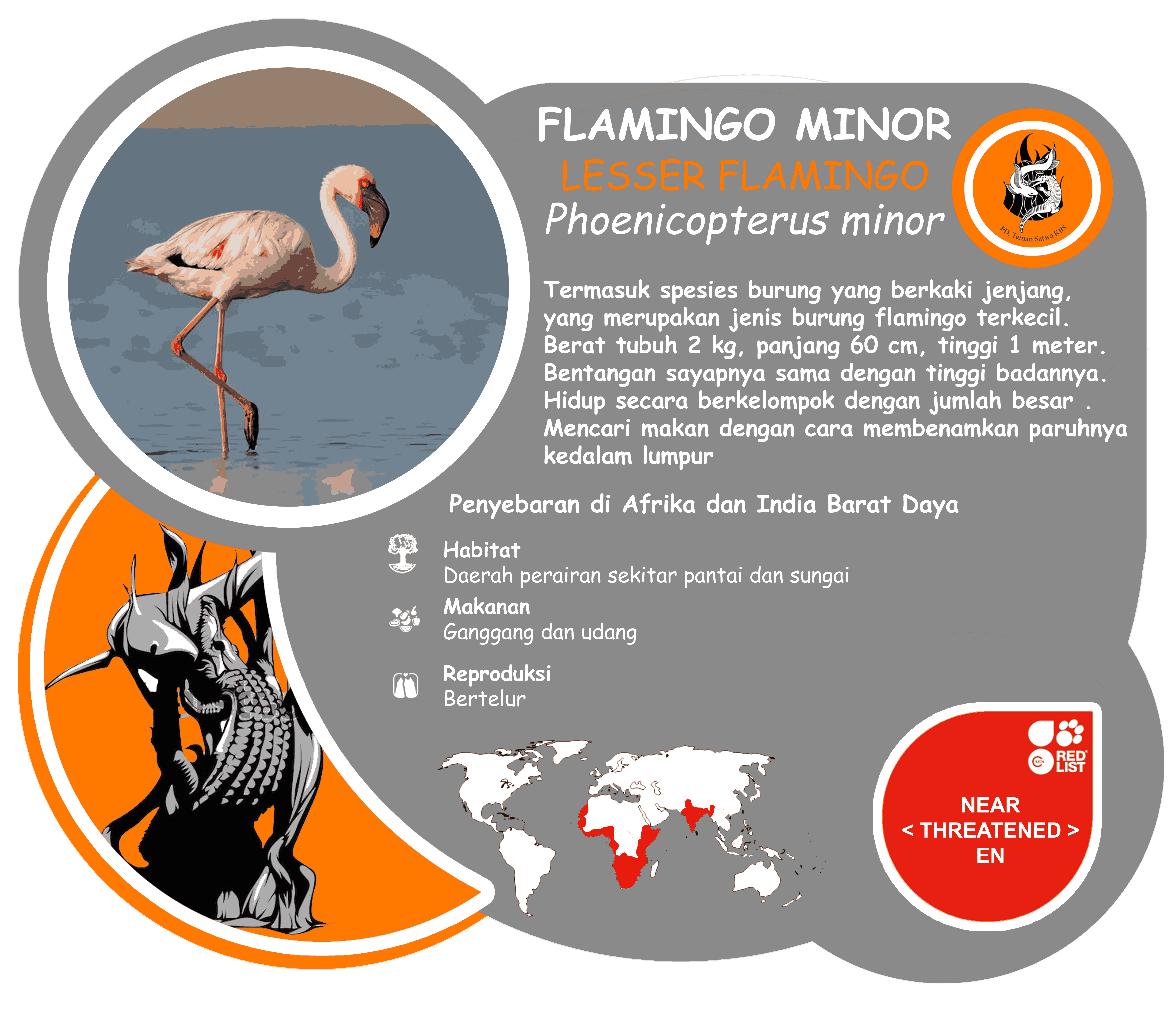 FLAMINGO